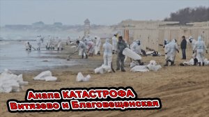 Анапа Катастрофа Море Уничтожено МАЗУТОМ. Ликвидаторы Спасают Пляж. Благовещенская Витязево