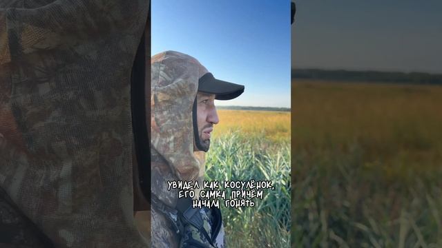 Взяли 2 косули. С полем! #shorts #спектроптик  #hunting #hunt #трофей #косуля #волк