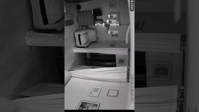 Выпуск 113. Психотеррор. Технологии. Гангсталкинг. МК УЛЬТРА. Электронное оружие. смотреть онлайн