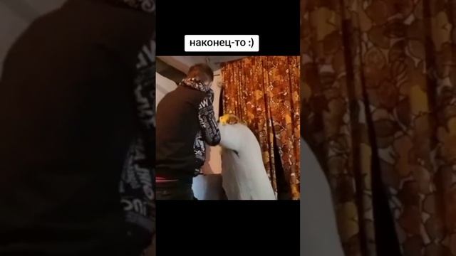 Взарвем бабку