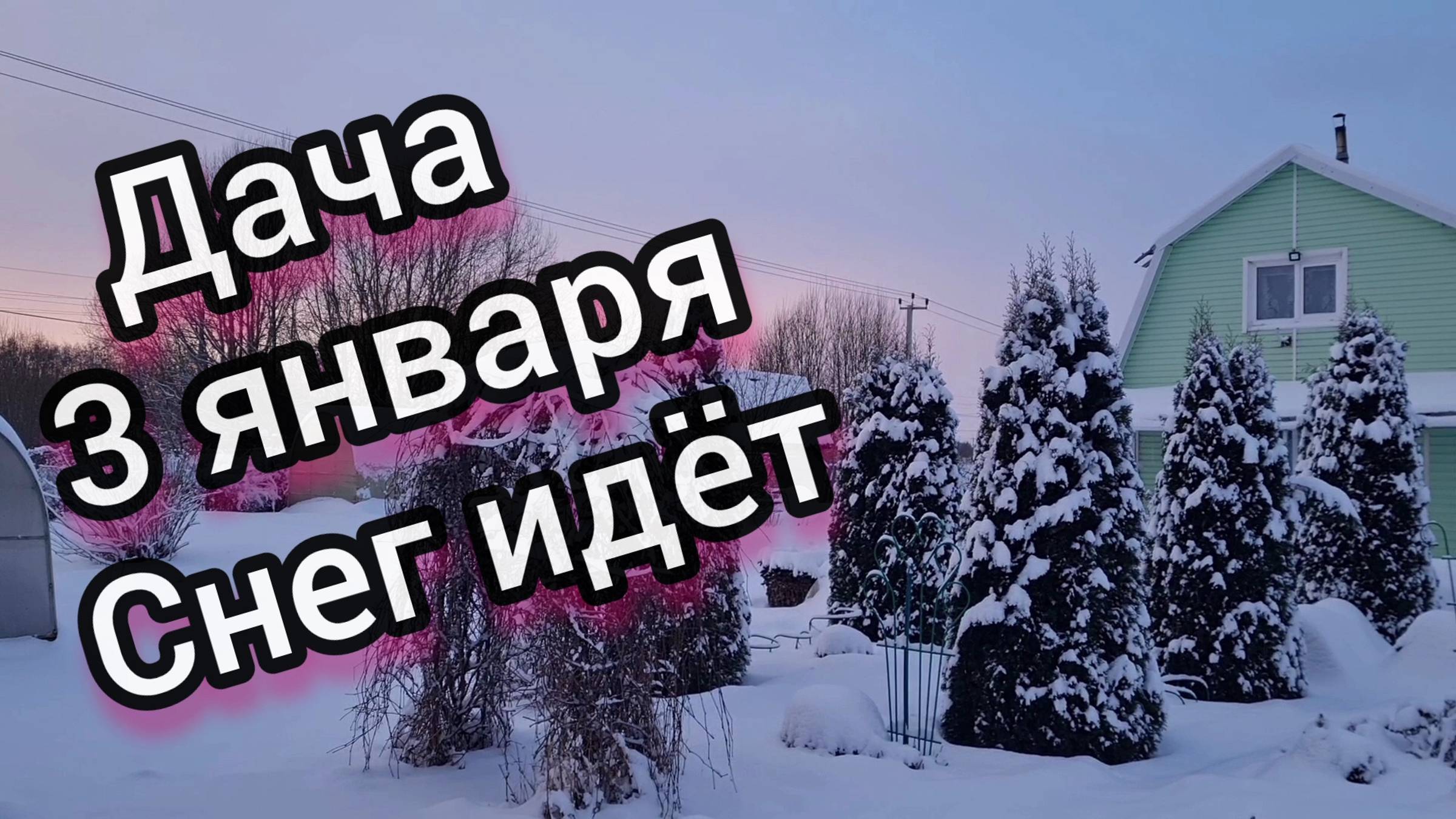 Заснеженная дача 3 января 2025! Снег идёт,такой пушистый.❄️❄️❄️☃️🎅🎄