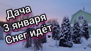 Заснеженная дача 3 января 2025! Снег идёт,такой пушистый.❄️❄️❄️☃️🎅🎄