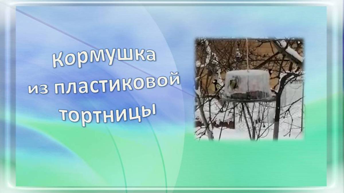 Кормушка из тортницы