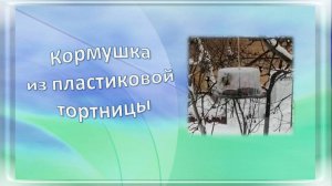 Кормушка из тортницы