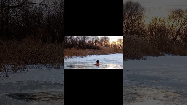Моржевание, Закаливание #shorts