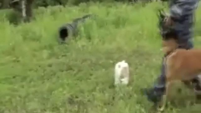 Малинуа Варк выборка вещи смотреть онлайн