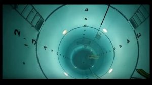 strange swimming pool
