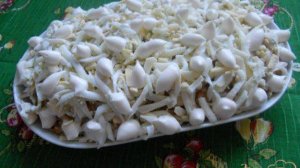 Салат с копченой горбушей слоеный