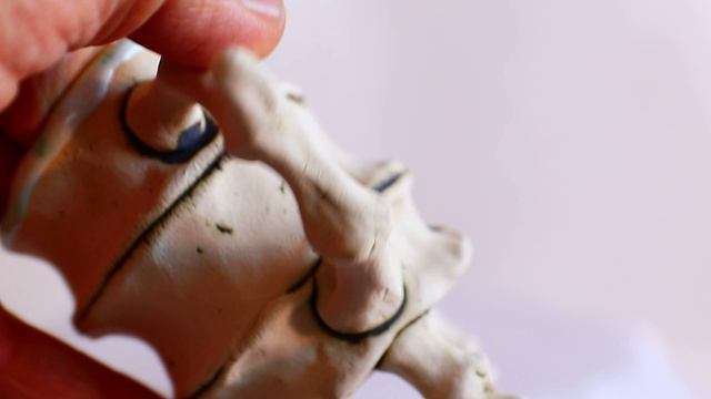 Кружка Позвоночная на ножках