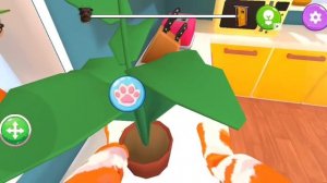 Кот и бабка: Что я такого сделала 🙀🙀😿