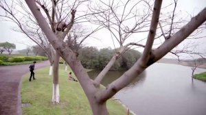 Увидеть тебя снова 1 сезон 24 серия