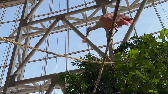 IMG_6504 смотреть онлайн