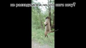 раньше/сейчас