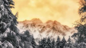 Чтобы избавиться от падчерицы-инвалида, мачеха наняла в сиделки бывшего заключенного. Но спустя…