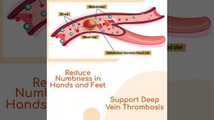 Bionatto Plus - Support healthy blood pressure levels & cholesterol and improve blood circulation