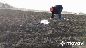 Посадка лука на зиму🧅В селе у СВЕКРУНЬКИ 😊