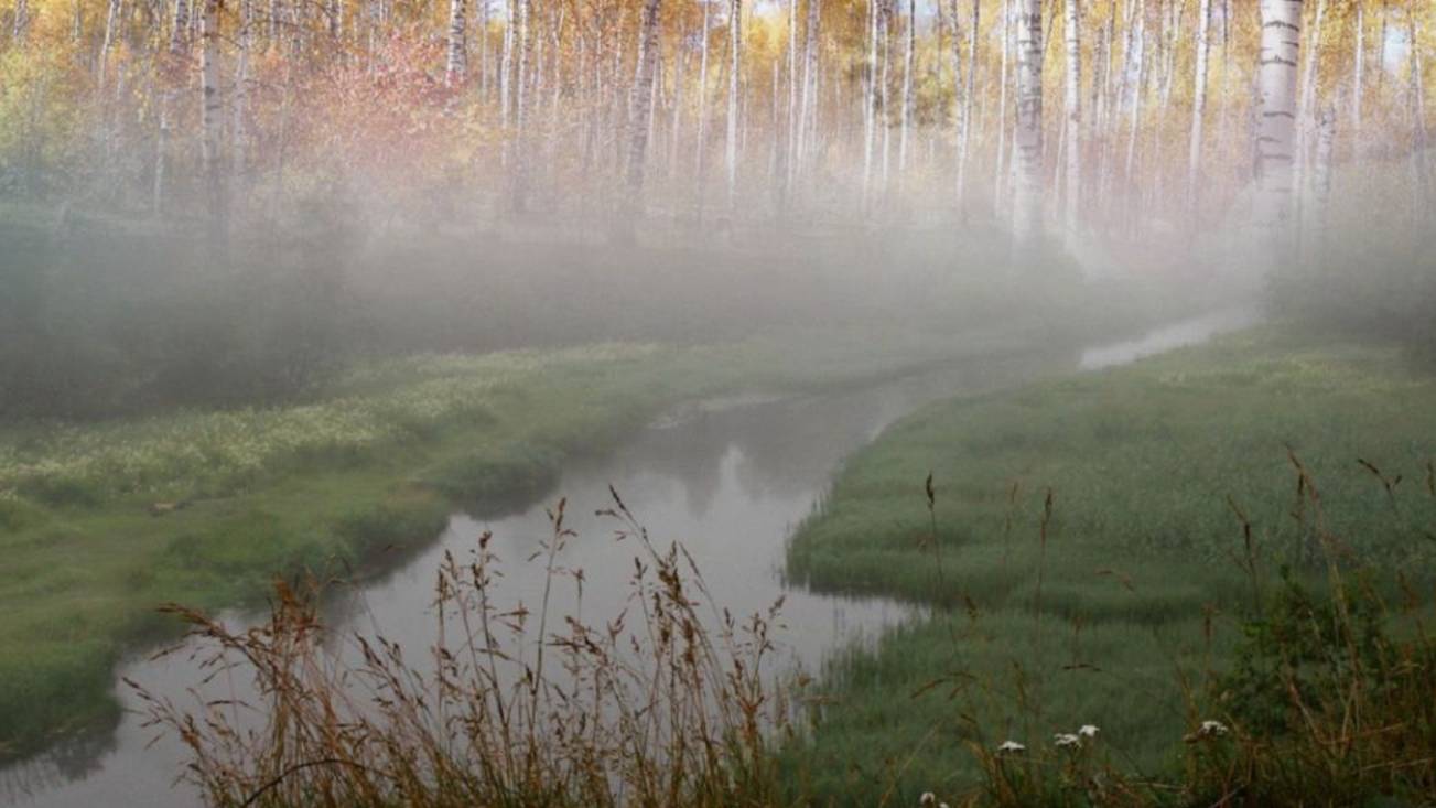 Низко стелется туман смотреть онлайн