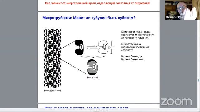 Реинжиниринг мозга, информация и квантовая информация - Александр Панов  — Семинар AGI