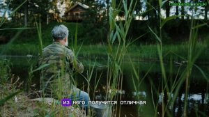 Ловля хищной и мирной рыбы на чеснок: какие рыбы любят его аромат. Рецепт чесночного теста