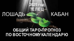 ОБЩИЙ ТАРО-ПРОГНОЗ НА 2025 ГОД ПО ВОСТОЧНОМУ КАЛЕНДАРЮ.ТЕЛЕЦ (ЛОШАДЬ-КАБАН