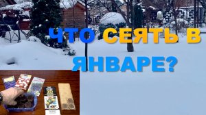 ЧТО СЕЯТЬ В ЯНВАРЕ - ФЕВРАЛЕ?