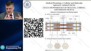 Препараты с положительным инотропным действием  Лебединский КМ