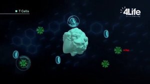 Трансфер Факторы компании 4Life Research, для вашей иммунной системы.
