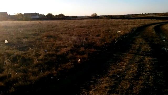 29 сентября смотреть онлайн