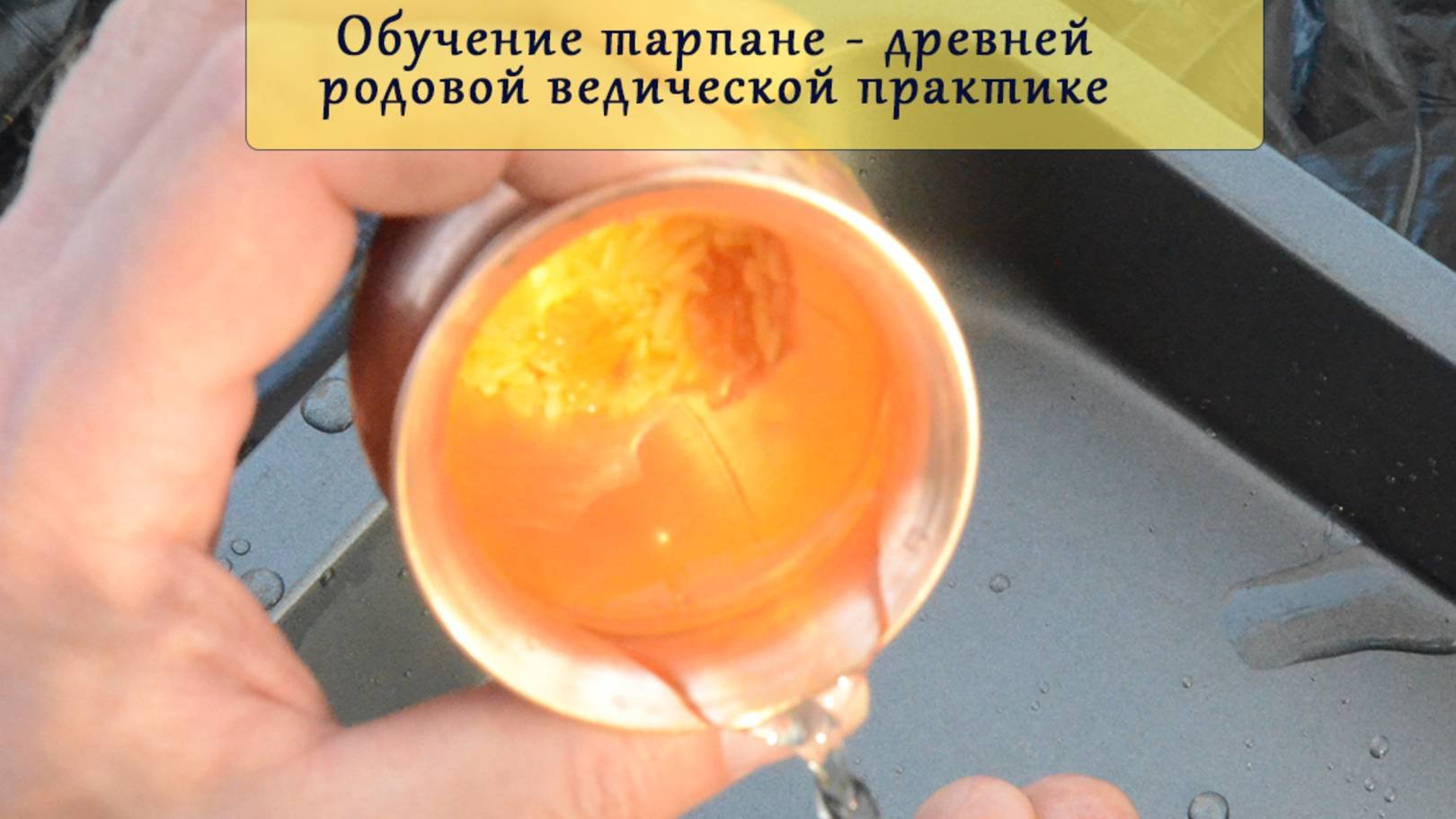 1 Вебинар-обучение древней ведической практике почитания предков, Тарпане.