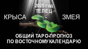 ОБЩИЙ ТАРО-ПРОГНОЗ НА 2025 ГОД ПО ВОСТОЧНОМУ КАДЕНДАРЮ. ТЕЛЕЦ(КРЫСА-ЗМЕЯ)