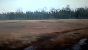 МТЛБ застрял в болоте