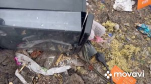 Деньги на мусоре, свалка. Беларусь. Мусорщик.