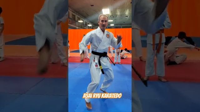 Прыжки с разворотом на 360  градусов. #asairyu #каратэ #karate