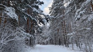 Бревнышко, горка и рождество