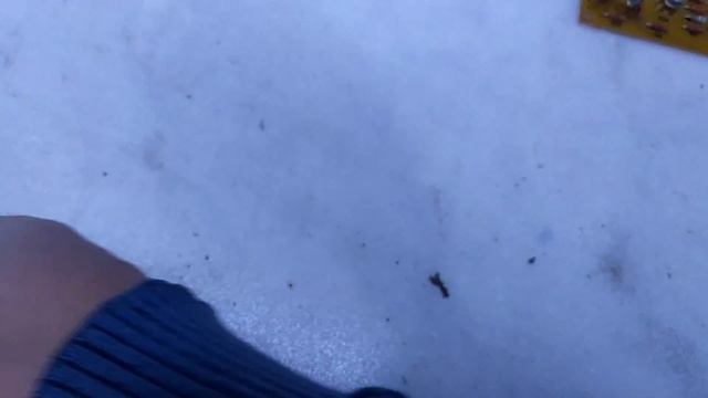 Самые дорогие радиодетали которые возьмёт любой скупщик.Они в этом приборе.