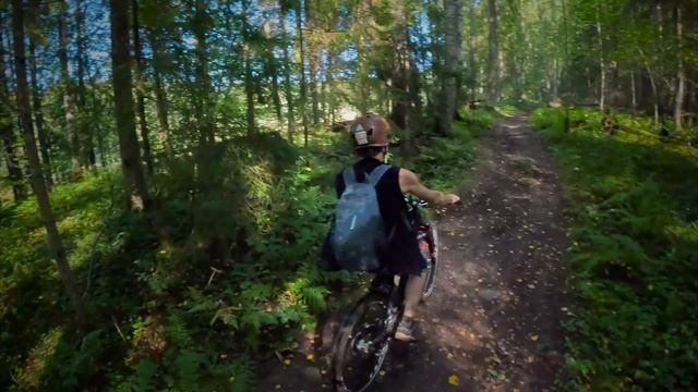 Разведка: Извилистый 2024.08.25 4K