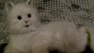 Интерактивная кошка Лулу Furreal Friends от Hasbro