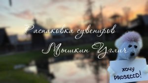 Распаковка. Сувениры из Углича. Вкусняшки из МЫшкина