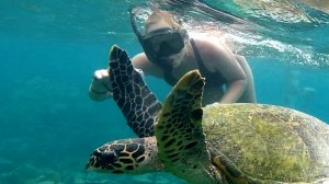 МАЛЬДИВЫ ПОЕЗДКА К ЧЕРЕПАХАМ
Maldives trip to turtle point