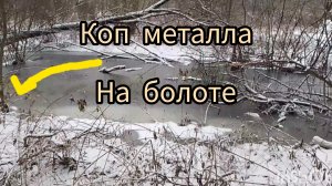 поиск металла на болоте