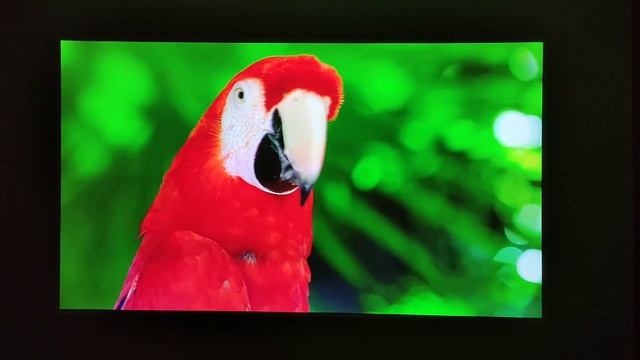 Распаковка и обзор проектора Jmgo J9, сравнение характеристик с конкурентом Xgimi H3 смотреть онлайн