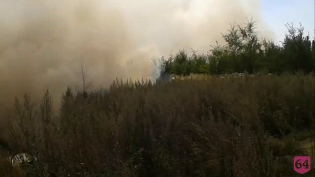В районе кладбища под Саратовом горят лесопосадки смотреть онлайн