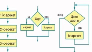 Өміріміздегі қайталаулар 3 сынып Цикл
