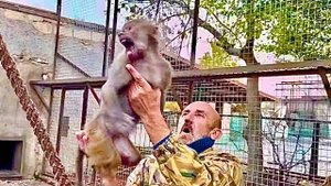 Люська просто до истерики ТРЕБУЕТ ТЕЛЕФОН и не хочет слышать никаких отказов!