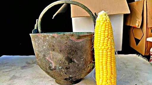 Думал, нашел просто горшок, но всё намного интересней - Топ находок смотреть онлайн