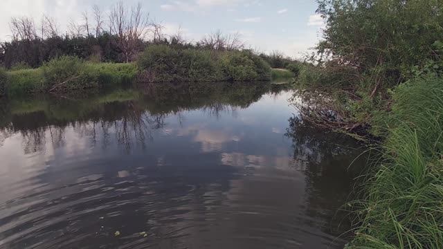Твоя ставка на окуня. 🐟