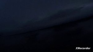 осеняя охота на уток и гагар