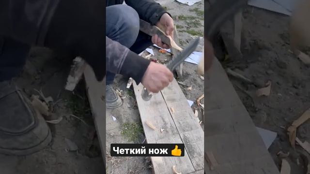 ОРЛАН ЭКСКЛЮЗИВ,НИКЕЛЬ ДАМАСК КОЖА смотреть онлайн