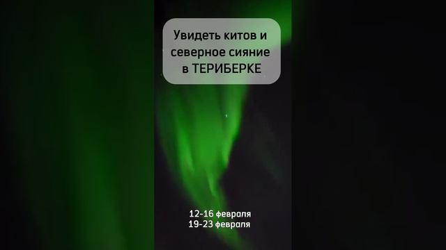 Чем заняться в феврале?