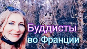 Прогулка в буддистский храм.